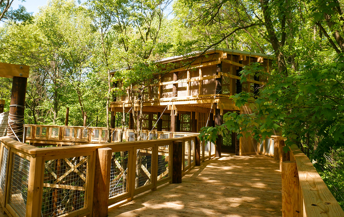 Blacklick Woods Canopy Walk Hours and Admission Cost 2024: Your Ultimate Guide