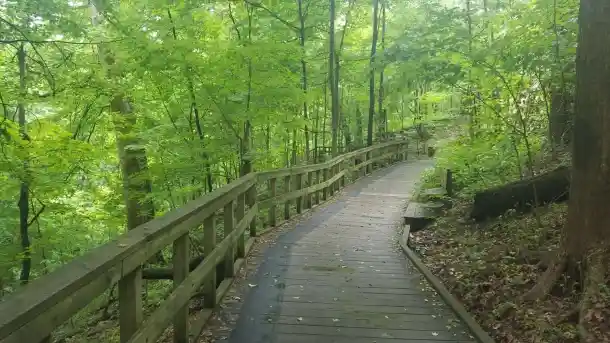 Free Guided Walks and Ranger Programs at Blacklick