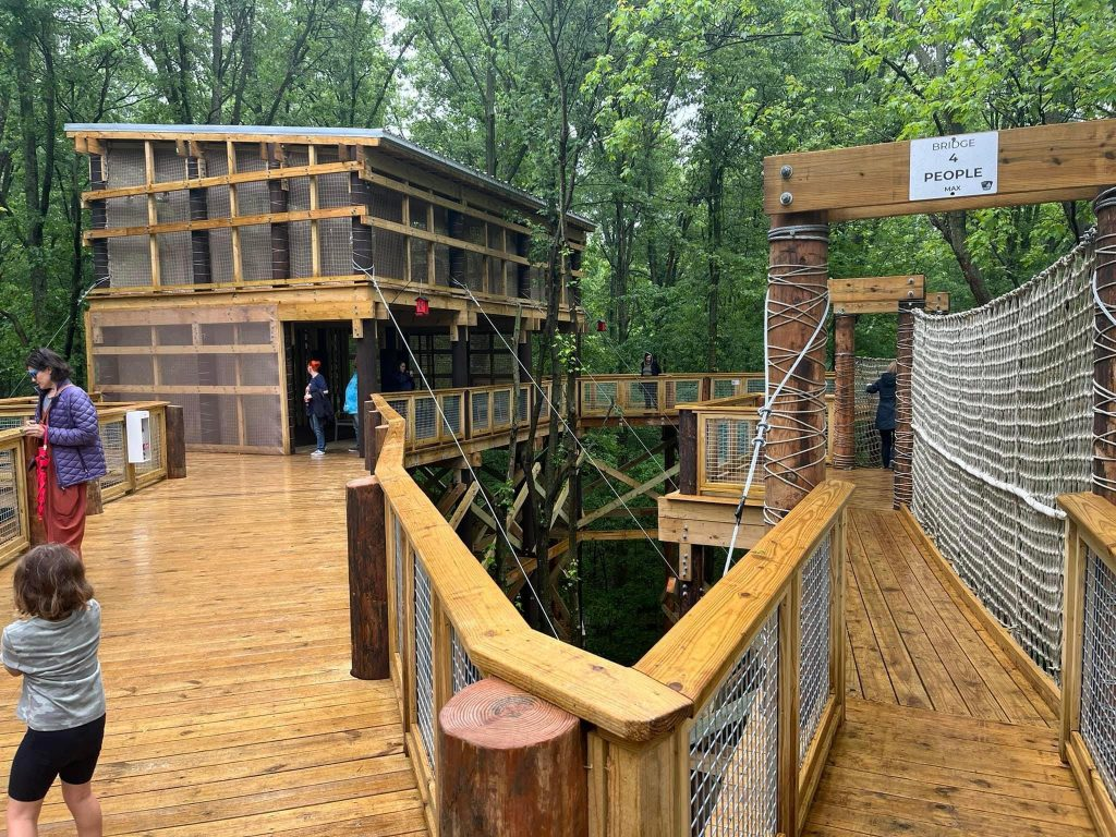 Bird Watching at Blacklick Woods Canopy Walk: Peak