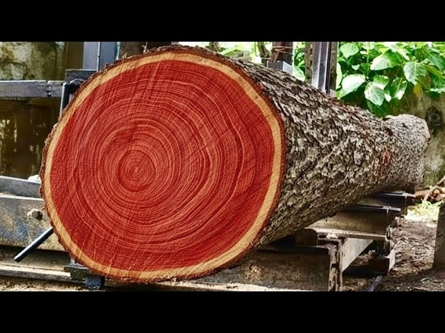 Mahogany Wood Prices 2026: Complete Cost Breakdown by Grade and Species