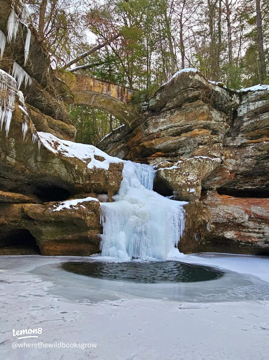 Winter Magic: Blacklick Woods Canopy Walk Through Snow