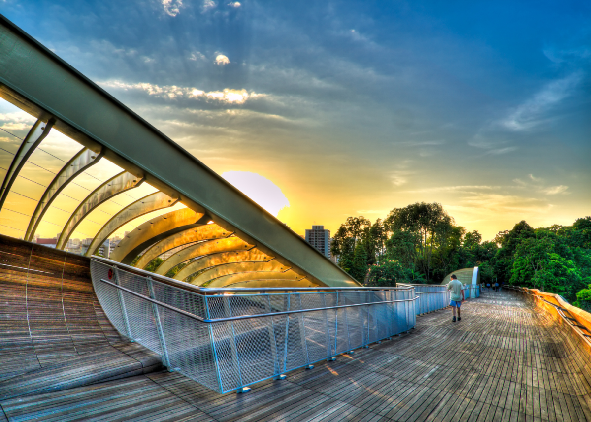 Complete Trail Guide: Canopy Walk to Beech Ridge Loop