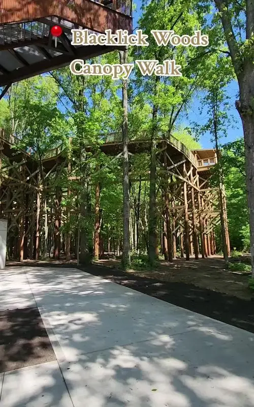 7 Instagram-Worthy Photo Spots at Blacklick Woods, CA